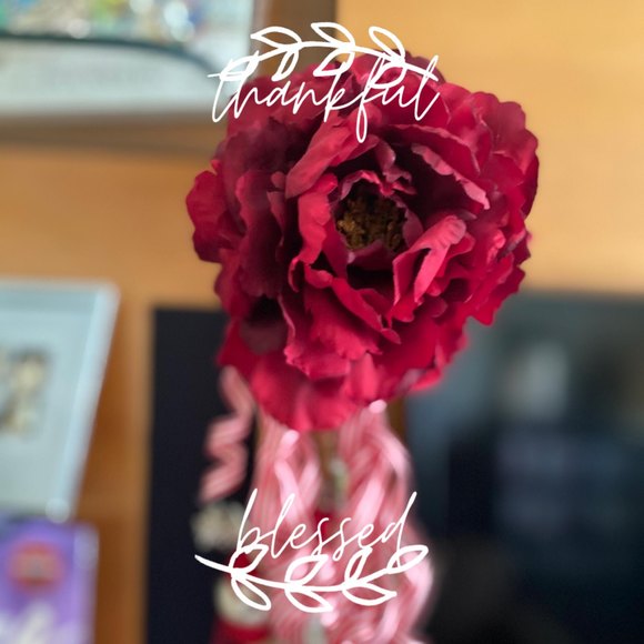 lara_ll